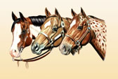 Western, Equine Art - Western Horses
